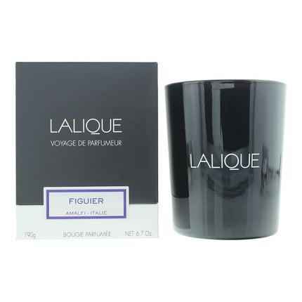 Lalique Fig Tree Amalfi - Italy Candle 190g