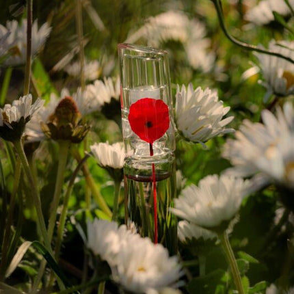 Kenzo Flower Poppy Bouquet Eau De Parfum 100ml