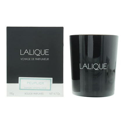 Lalique Poplar Aspen - United States Candle 190g