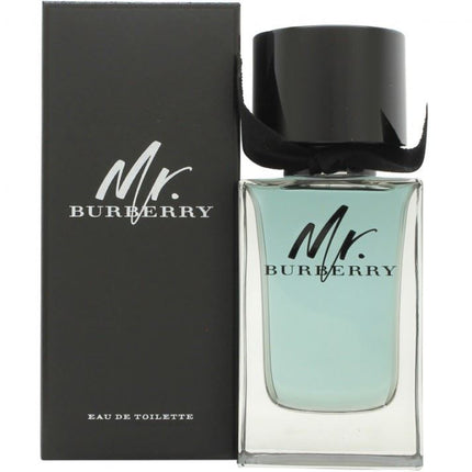 Burberry Mr. Burberry Eau de Toilette 100ml