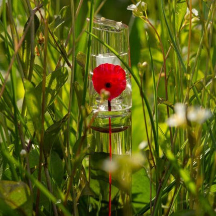 Kenzo Flower Poppy Bouquet Eau De Parfum 100ml
