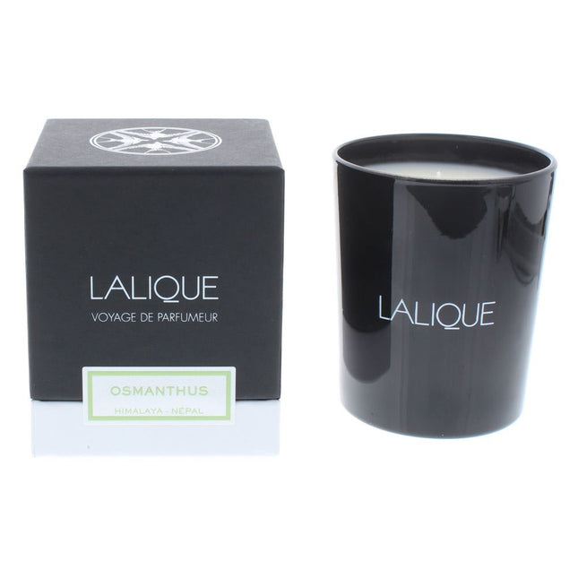 Lalique Osmanthus Himalaya - Nepal Candle 190g