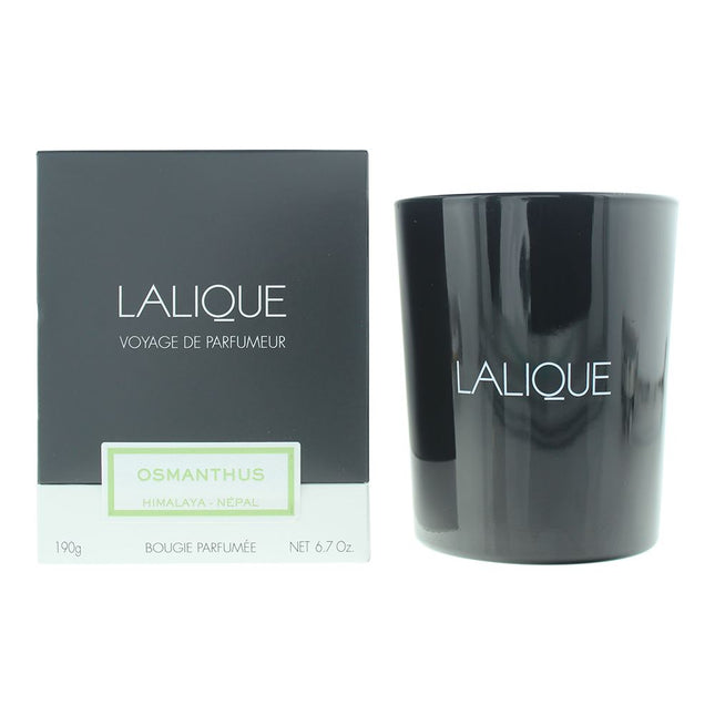 Lalique Osmanthus Himalaya - Nepal Candle 190g